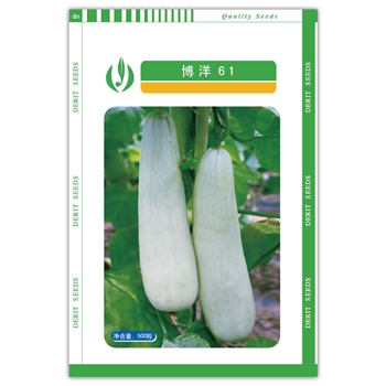 博洋61 