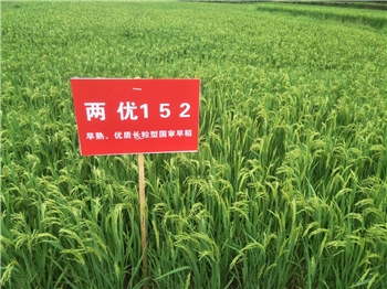 两优152
