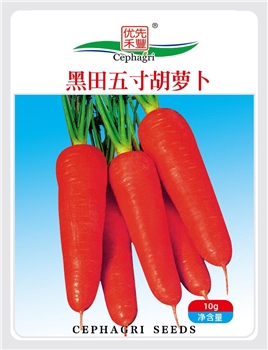 黑田五寸胡萝卜