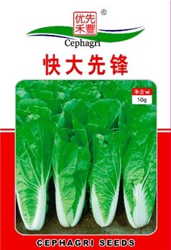 快大先锋