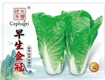 早生金冠