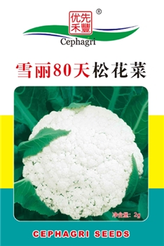 雪丽80天松花菜