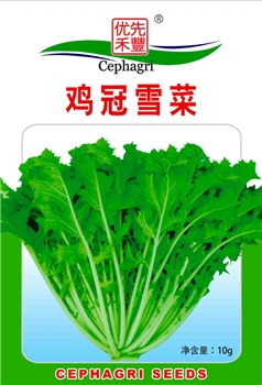 鸡冠雪菜