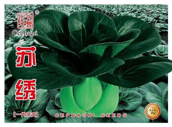 苏绣
