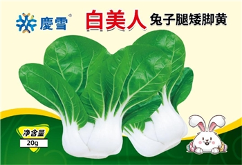 白美人