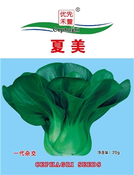 夏美