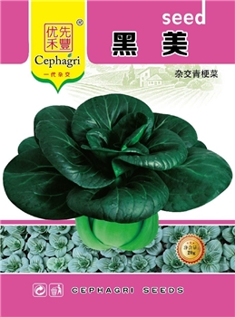 黑美