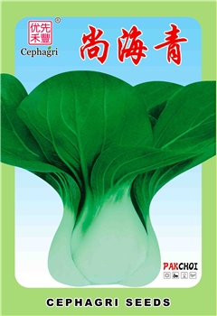尚海青