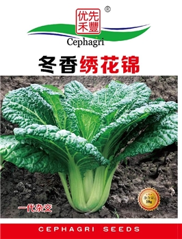 冬香绣花锦