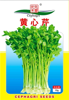 黄心芹