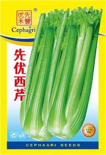 先优西芹