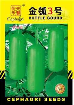 金瓠3号