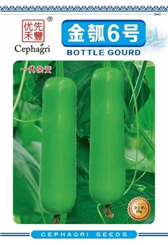 金瓠6号
