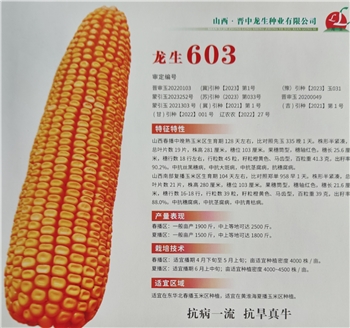 龙生603