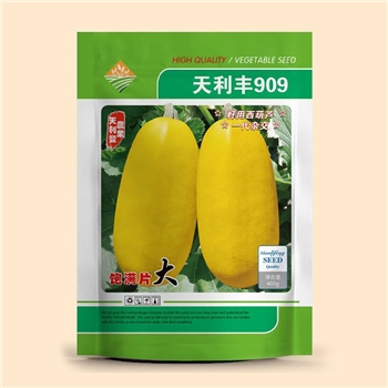 天利丰909