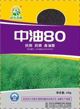 中油80